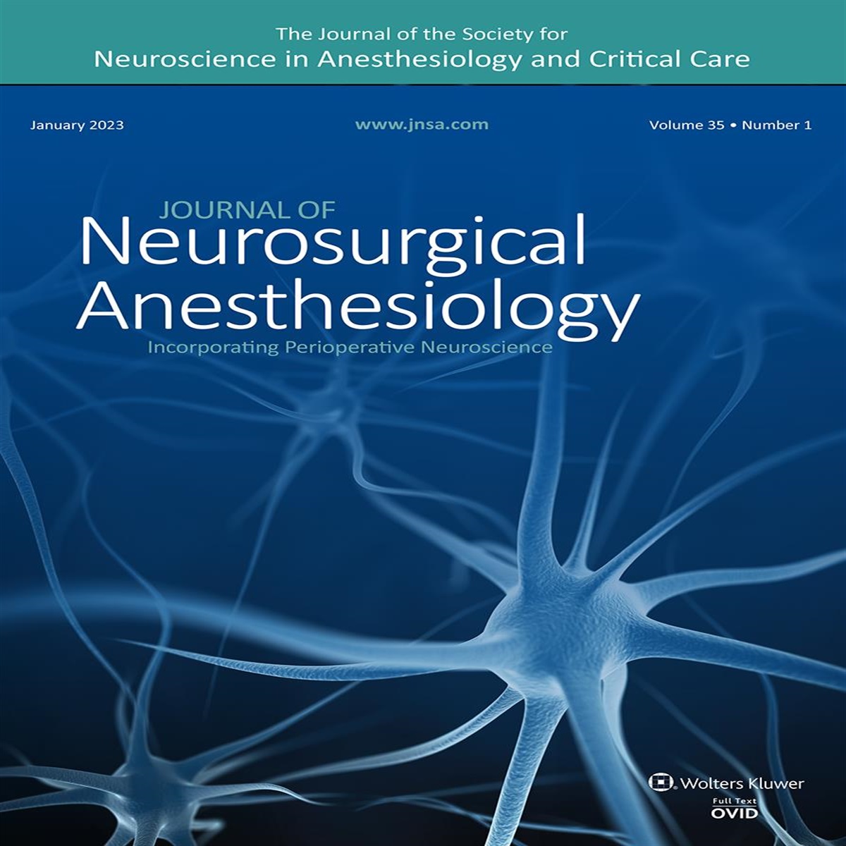 A Symbiosis in Perioperative Neuroscience