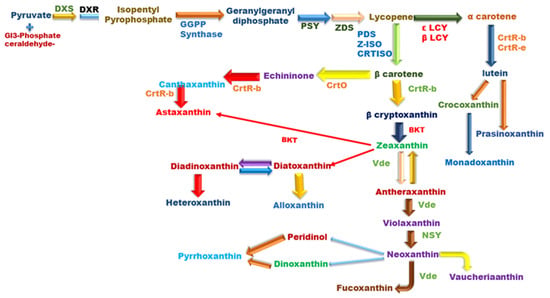 CIMB, Vol. 44, Pages 6257-6279: Microalgal Carotenoids: Therapeutic Application and Latest Approaches to Enhance the Production