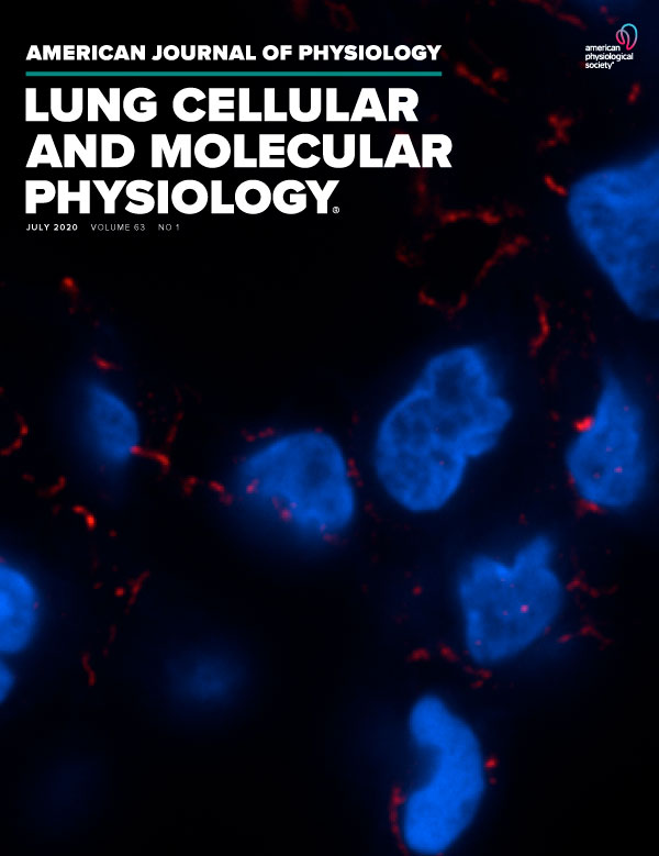 Microvascular lung injury and endoplasmic reticulum stress in systemic lupus erythematosus-associated alveolar hemorrhage and pulmonary vasculitis