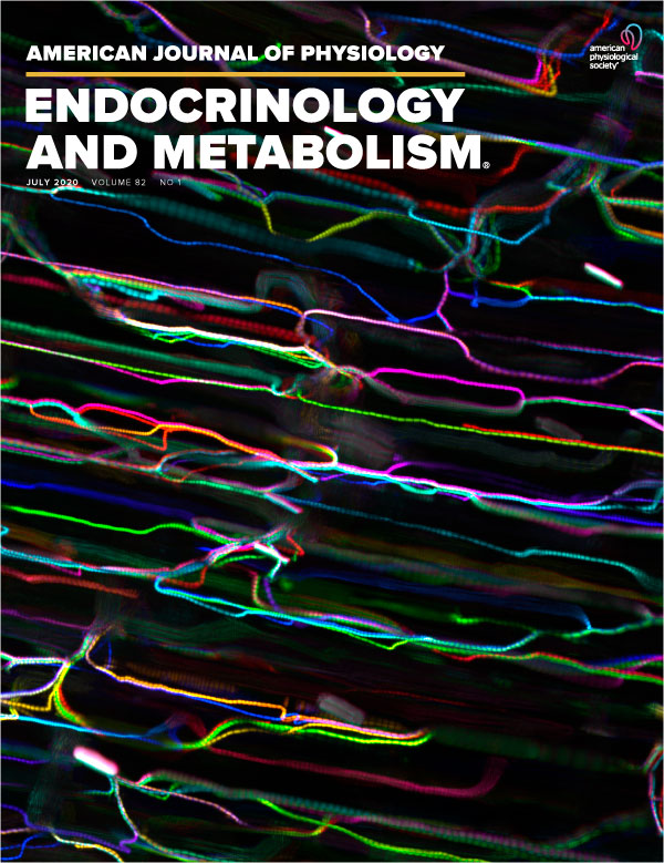 17α-estradiol, a lifespan-extending compound, attenuates liver fibrosis by modulating collagen turnover rates in male mice