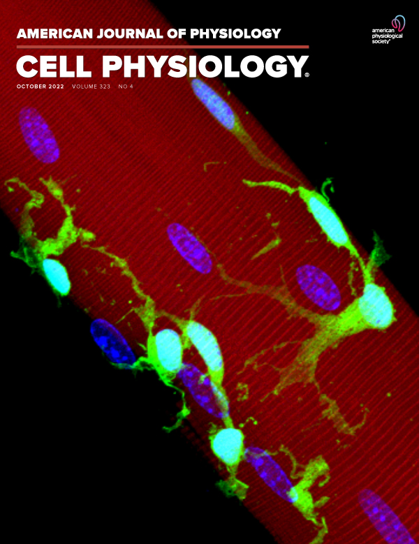 Bidirectional sensitivity of CALHM1 channel to protons from both sides of plasma membrane