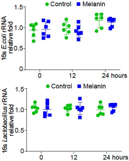Toxics, Vol. 11, Pages 13: Effects of Melanized Bacteria and Soluble Melanin on the Intestinal Homeostasis and Microbiome In Vivo