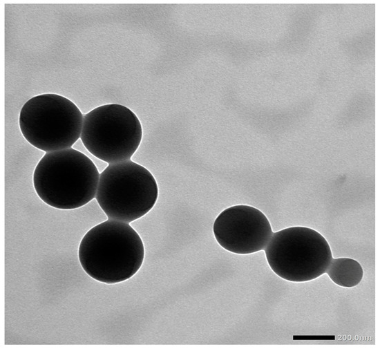 Antioxidants, Vol. 12, Pages 60: Caffeic Acid Phenethyl Ester Loaded PEG&ndash;PLGA Nanoparticles Enhance Wound Healing in Diabetic Rats