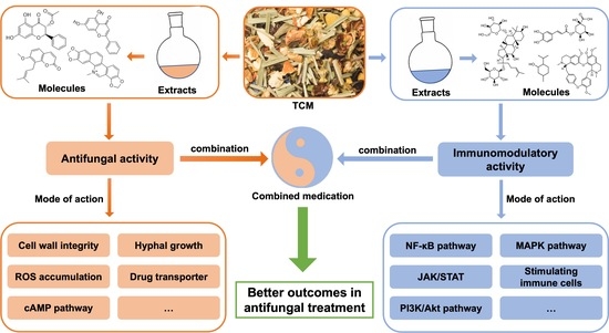 Antibiotics, Vol. 12, Pages 48: Antifungal and Immunomodulatory Ingredients from Traditional Chinese Medicine