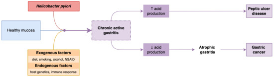 Antibiotics, Vol. 12, Pages 60: The Importance of Accurate Early Diagnosis and Eradication in Helicobacter pylori Infection: Pictorial Summary Review in Children and Adults