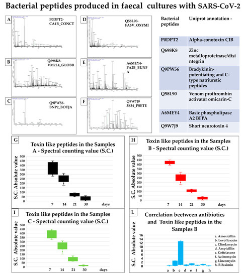 Biomedicines, Vol. 11, Pages 87: Toxin-like Peptides from the Bacterial Cultures Derived from Gut Microbiome Infected by SARS-CoV-2&mdash;New Data for a Possible Role in the Long COVID Pattern