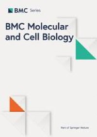 Using RNA-seq to identify suitable housekeeping genes for hypoxia studies in human adipose-derived stem cells
