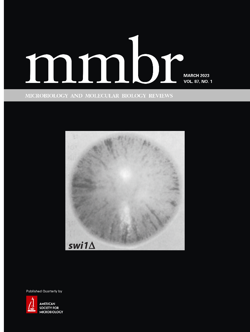 At the Crossroad of Nucleotide Dynamics and Protein Synthesis in Bacteria