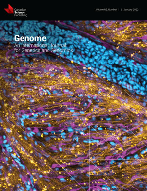Phylogenomics of transcriptionally active AP2/ERF and bHLH transcription factors and study of their promoter regions in Nothapodytes nimmoniana (J.Graham) Mabb