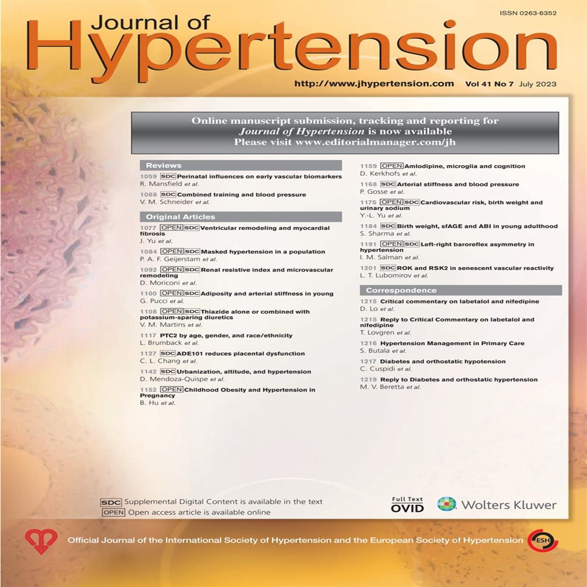 Community-based interventions in hypertension management and its implications for the future of primary care