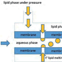 Technological strategies for the preparation of lipid nanoparticles: an updated review