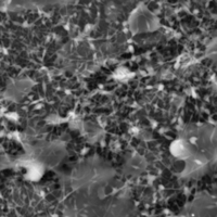 Fabrication of blended chitosan nanofibers by the free surface wire electrospinning