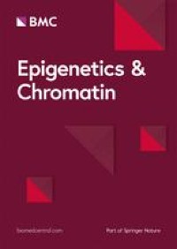 Promoter hypermethylation of neural-related genes is compatible with stemness in solid cancers
