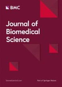 Mitochondrial impairment and synaptic dysfunction are associated with neurological defects in iPSCs-derived cortical neurons of MERRF patients