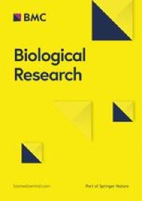 Mucin1 induced trophoblast dysfunction in gestational diabetes mellitus via Wnt/β-catenin pathway