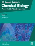 Navigating the terrain of protein aggregation and phase separation - A chemical biology perspective