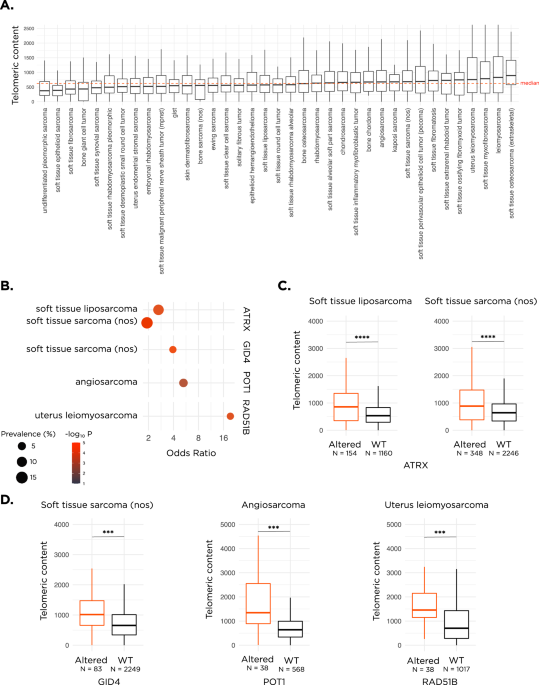 A pan-sarcoma landscape of telomeric content shows that alterations in RAD51B and GID4 are associated with higher telomeric content