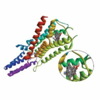Molecular docking analysis of ginger (Zingiber officinale) on dopamine compare to bupropion as smoking cessation