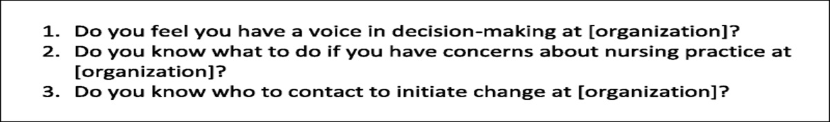 The ELEVATE Study: Evaluating the Impact of Educational Professional Governance Workshop on Nurses' Perceptions of Shared Decision-Making
