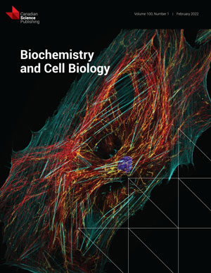 Automatic detection of Cryptosporidium in optical microscopy images using YOLOv5x: a comparative study