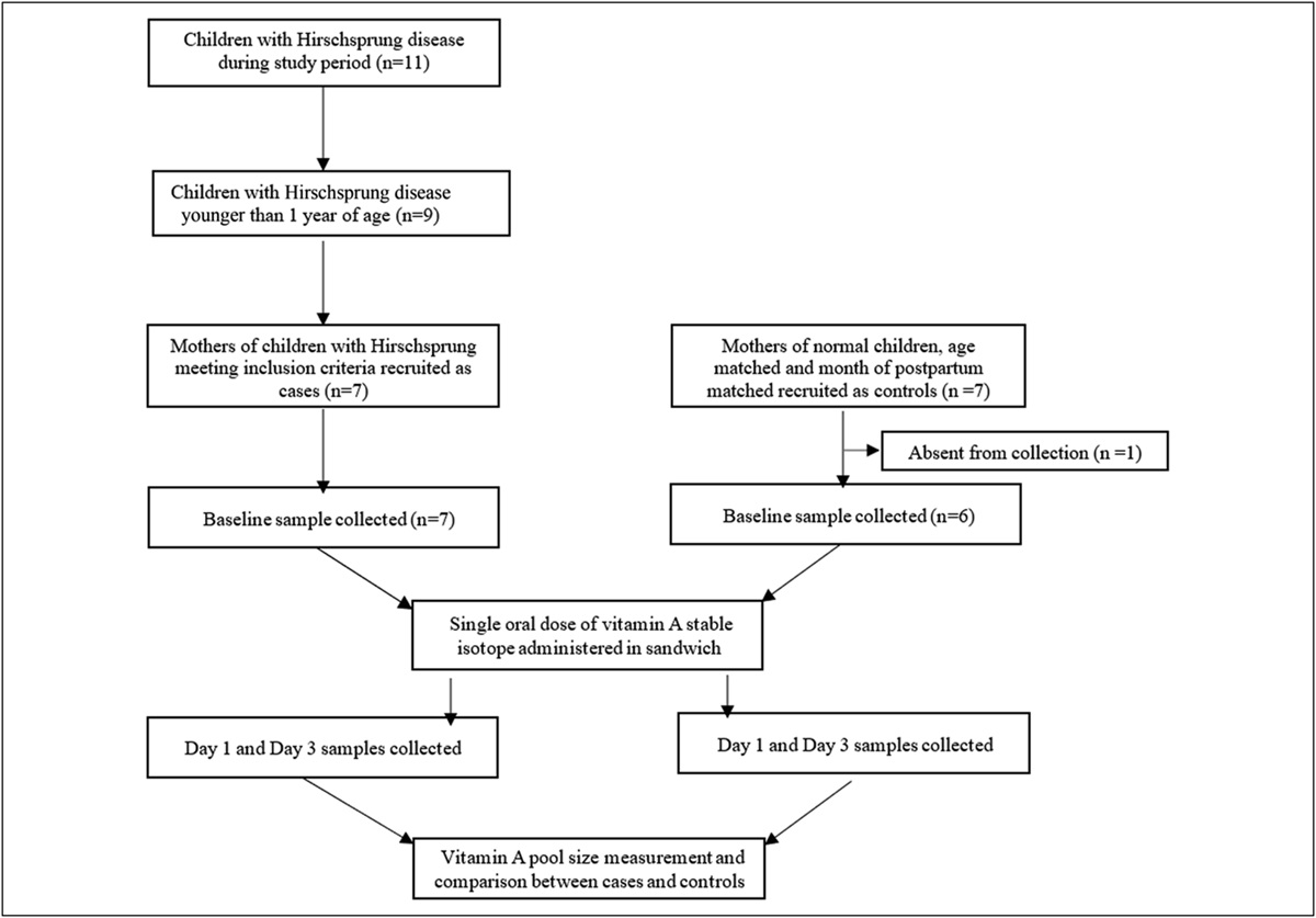 Maternal Vitamin A Status as a Risk Factor of Hirschsprung Disease in the Child