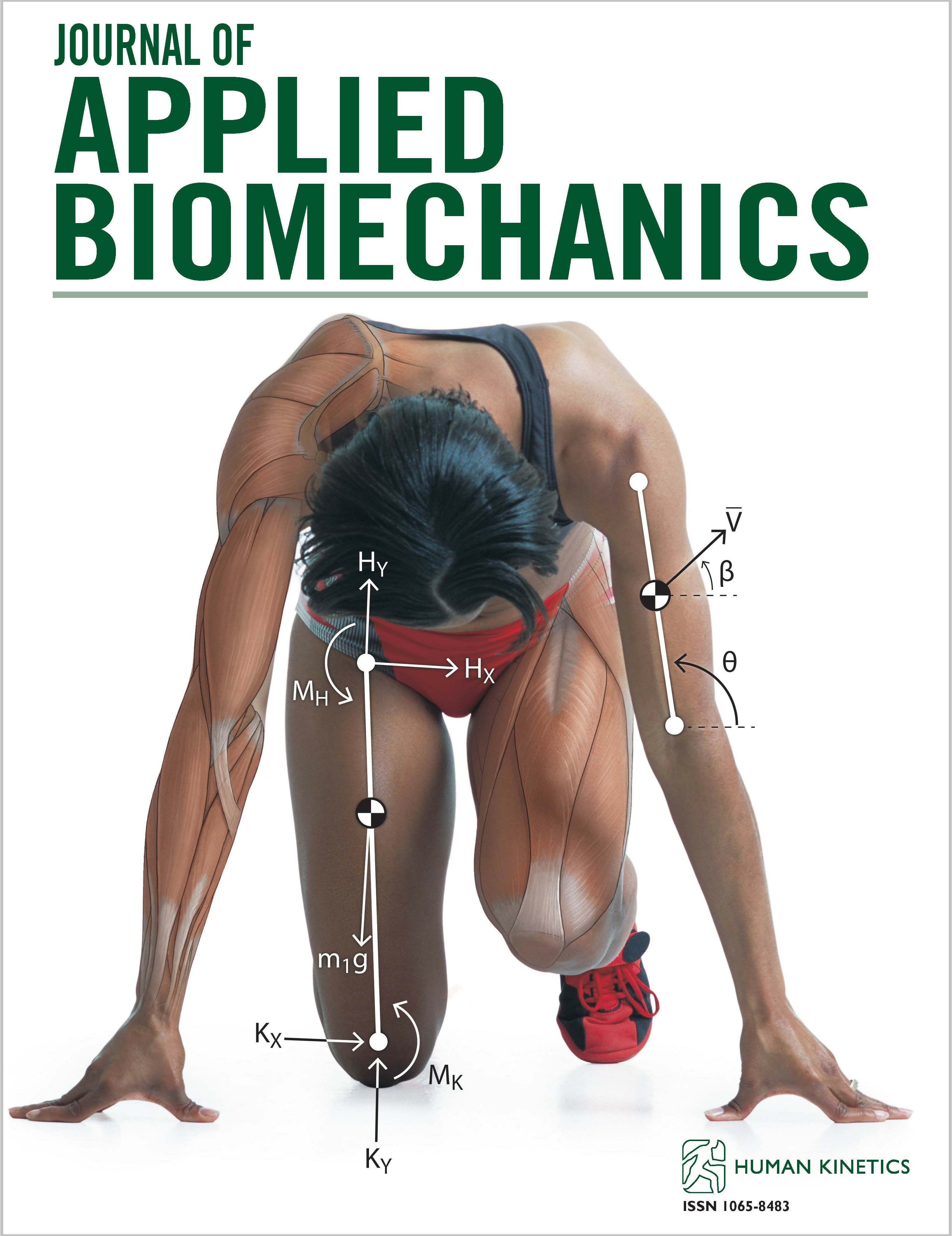 A Narrative Review of Personalized Musculoskeletal Modeling Using the Physiome and Musculoskeletal Atlas Projects