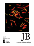 Identification of Streptococcus pneumoniae genes associated with hypothiocyanous acid tolerance through genome-wide screening