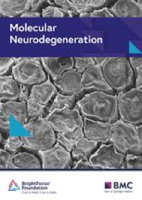 Border-associated macrophages promote cerebral amyloid angiopathy and cognitive impairment through vascular oxidative stress