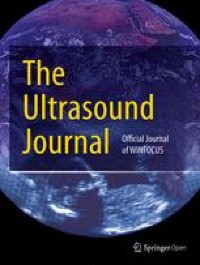 Internal jugular access using pocket ultrasound in a simulated model: comparison between biplane and monoplane visualization techniques