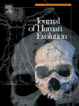 Estimation of the upper diaphragm in KNM-WT 15000 (Homo erectus s.l.) and Kebara 2 (Homo neanderthalensis) using a Homo sapiens model