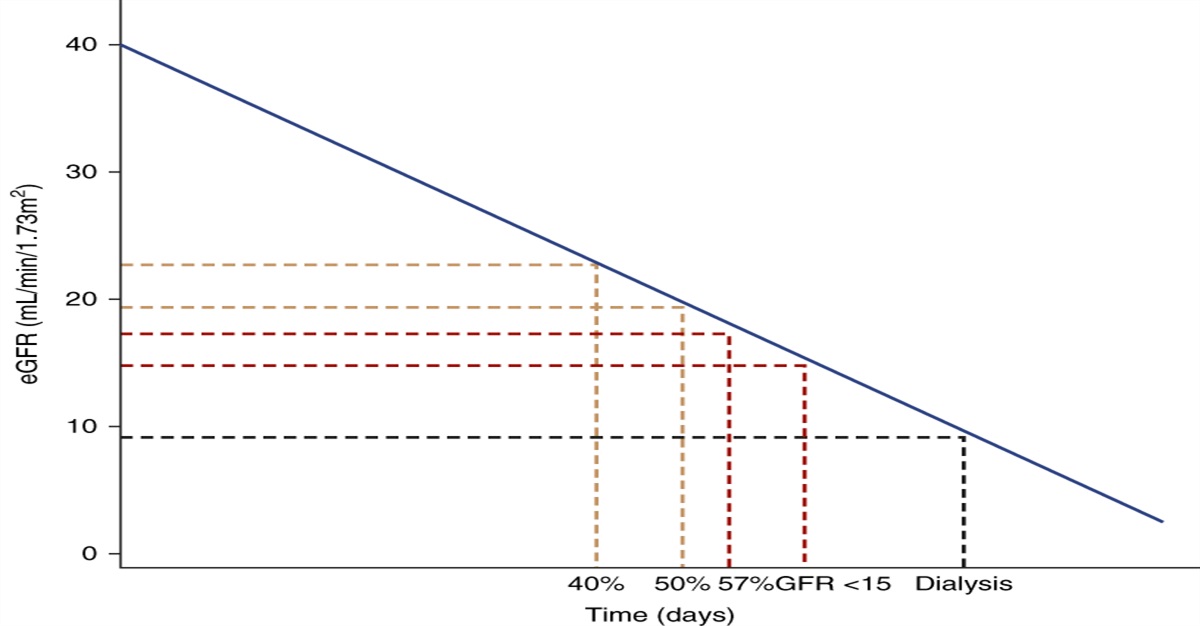 Validity and Utility of a Hierarchical Composite End Point for Clinical Trials of Kidney Disease Progression: A Review