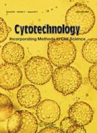 Construction of a novel kinetic model for the production process of a CVA6 VLP vaccine in CHO cells