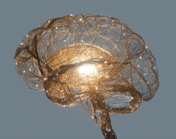 Controlling organoid gene expression with light