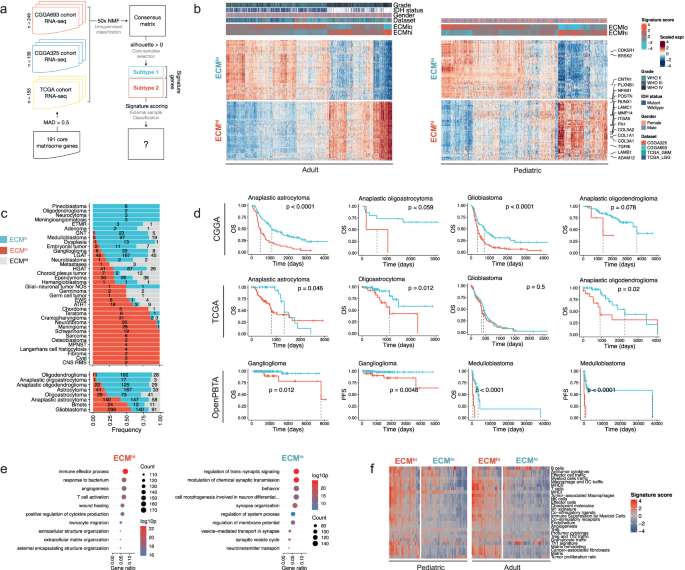 CNS tumor stroma transcriptomics identify perivascular fibroblasts as predictors of immunotherapy resistance in glioblastoma patients
