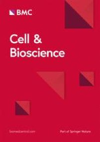 Causal relationship between gut microbiota and myasthenia gravis: a bidirectional mendelian randomization study