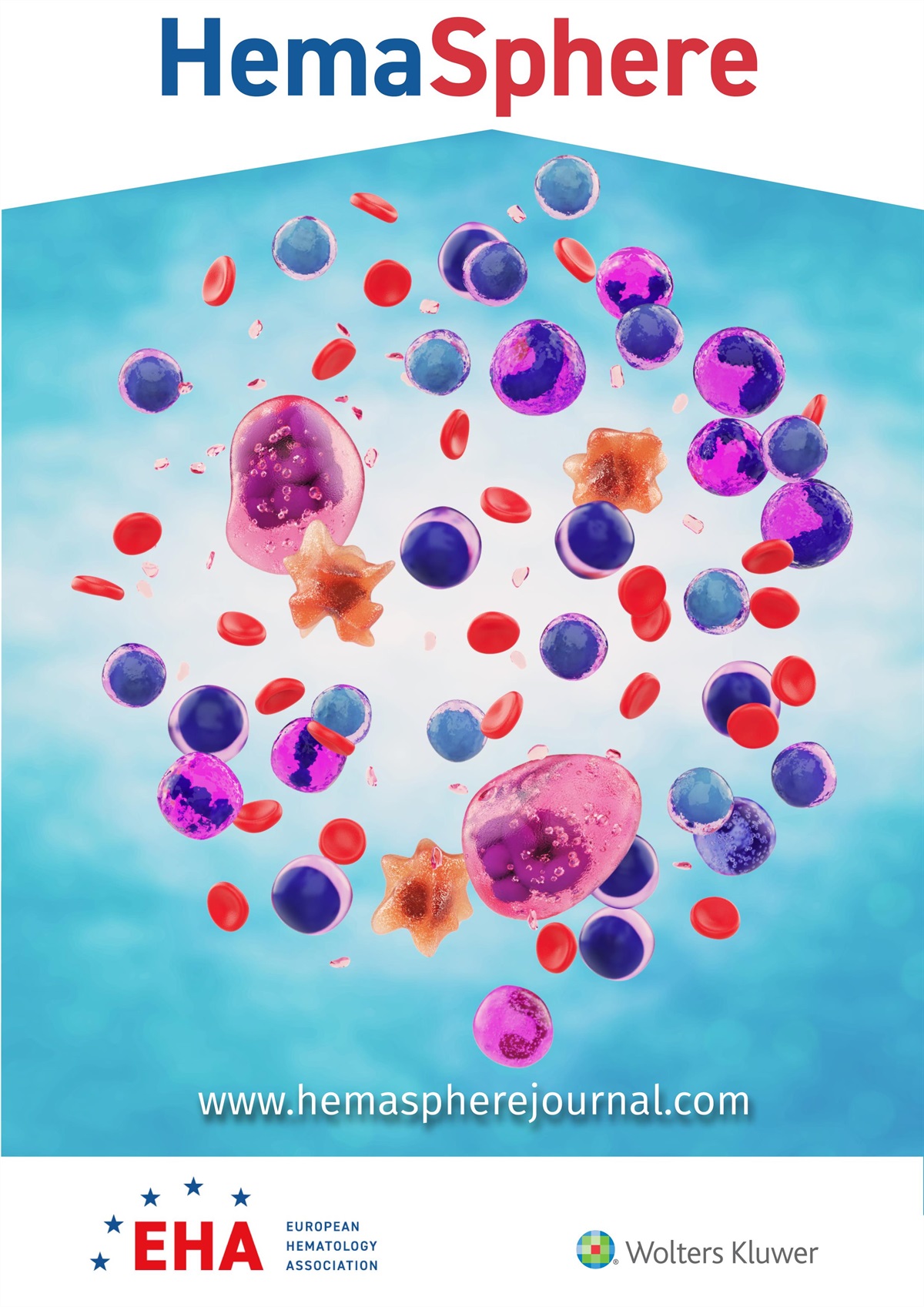 Correction Notice: Measurable Residual Disease Testing in Multiple Myeloma Routine Clinical Practice: A Modified Delphi Study