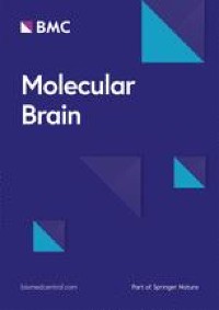 Impact of volume and expression time in an AAV-delivered channelrhodopsin