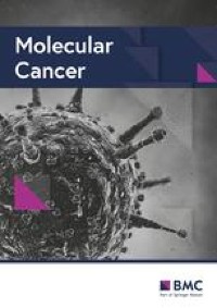 Ultra-sensitive CTC-based liquid biopsy for pancreatic cancer enabled by large blood volume analysis