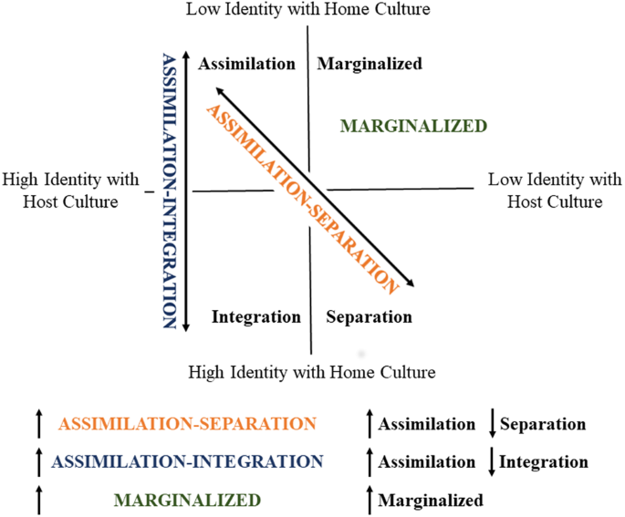 The effects of experience of discrimination and acculturation during pregnancy on the developing offspring brain