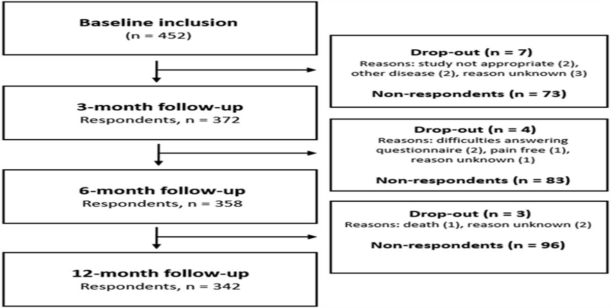 External validation and updating of prognostic prediction models for nonrecovery among older adults seeking primary care for back pain