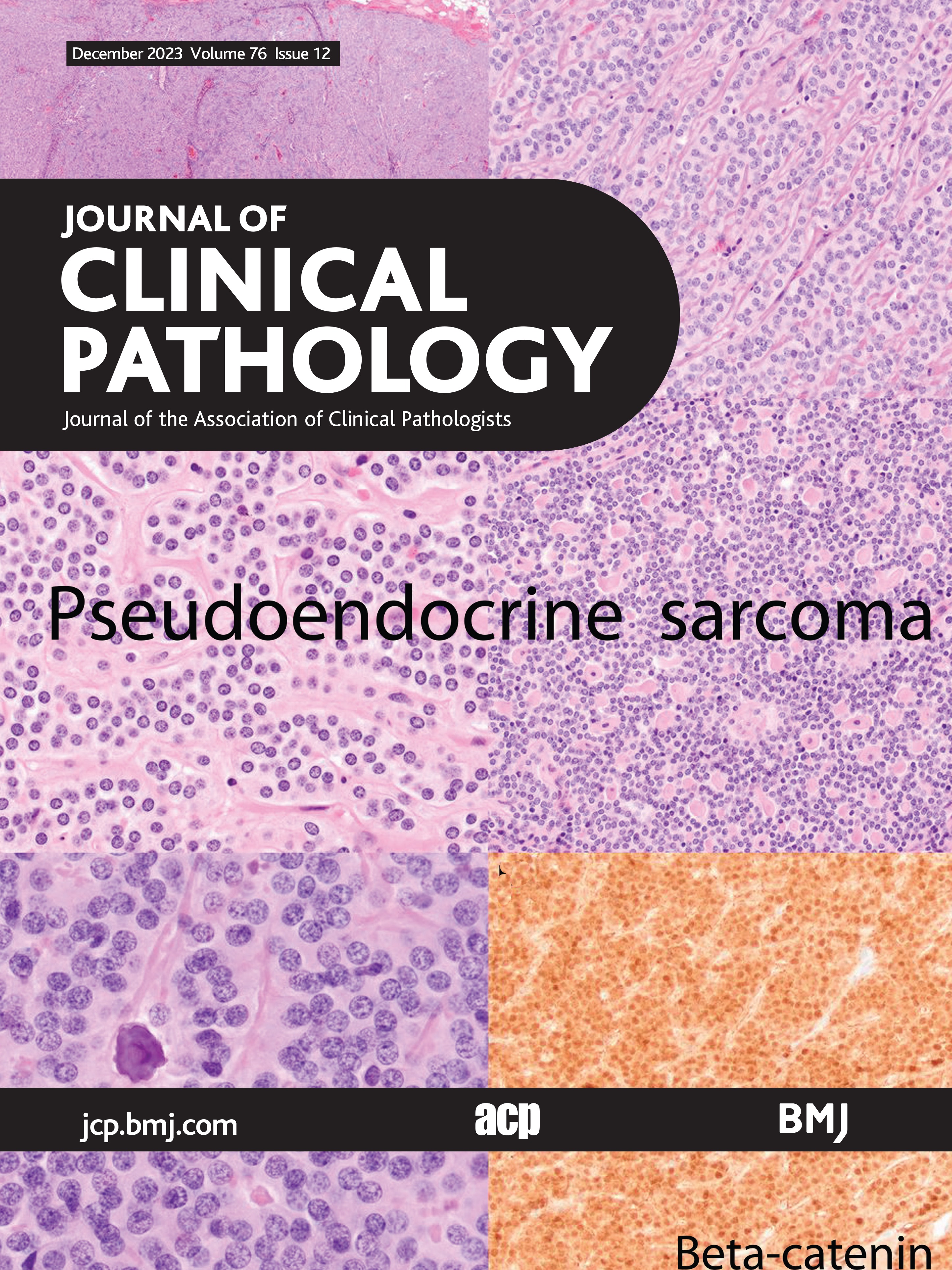 Independent reporting in oral and maxillofacial pathology