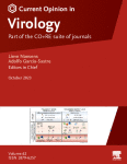 The natural virome and pandemic potential: Disease X
