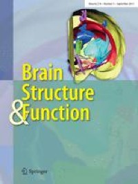 Should one go for individual- or group-level brain parcellations? A deep-phenotyping benchmark