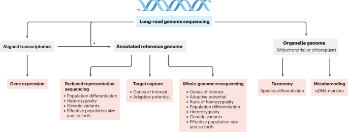 Translating genomic advances into biodiversity conservation