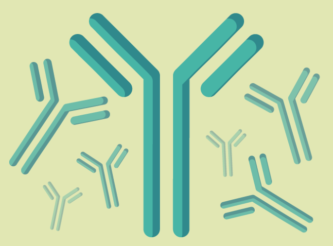 Targeting APRIL to slow progression of IgA nephropathy