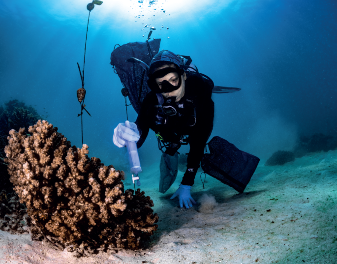 Microbiology must be represented at climate change talks