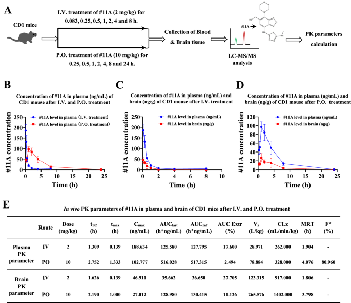 Inhibition of asparagine endopeptidase (AEP) effectively treats sporadic Alzheimer’s disease in mice