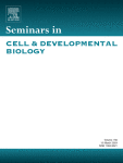 Molecular cell types as functional units of the efferent vagus nerve